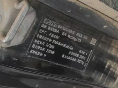 19年野马野马EC60小型车