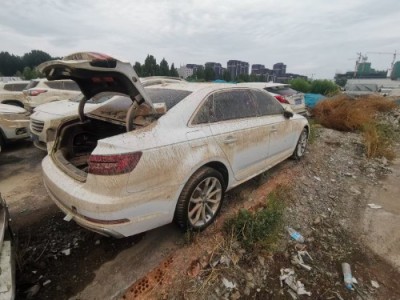 19年奥迪奥迪A4小型车