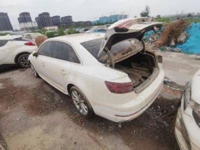 19年奥迪奥迪A4小型车