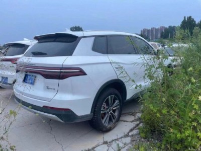 21年比亚迪宋Pro小型车