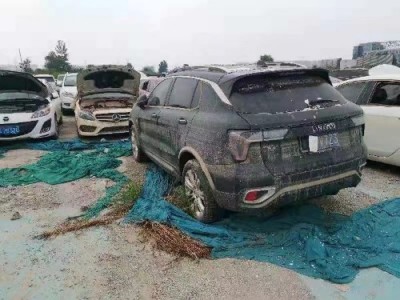 19年领克领克01小型车