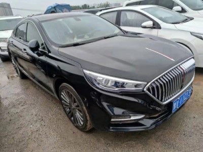 21年红旗红旗H5小型车
