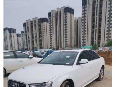 14年奥迪奥迪A4小型车