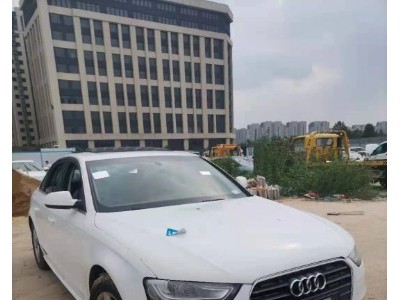 14年奥迪奥迪A4小型车
