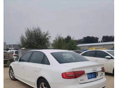 14年奥迪奥迪A4小型车