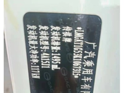 20年广汽传祺传祺GS4小型车