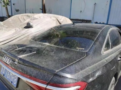 19年奥迪奥迪A8L小型车