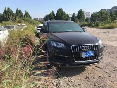 14年奥迪奥迪Q7小型车