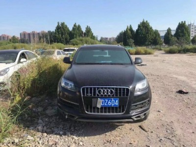 14年奥迪奥迪Q7小型车