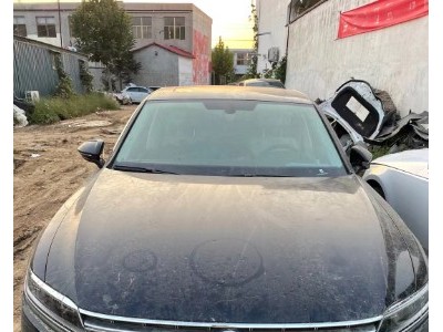 20年大众辉昂小型车