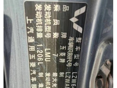 15年五菱五菱宏光S1小型车