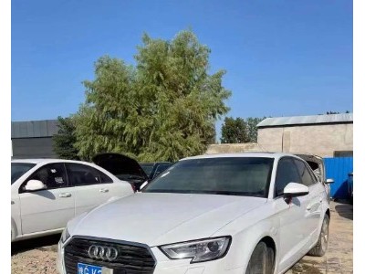 18年奥迪奥迪A3小型车