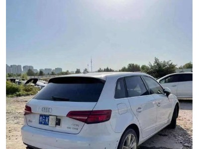 18年奥迪奥迪A3小型车