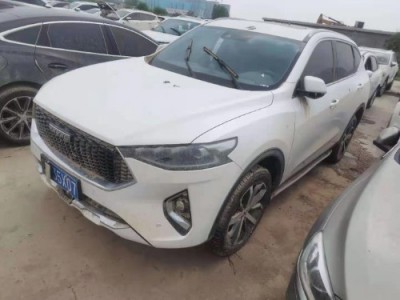 19年哈弗哈弗F7SUV