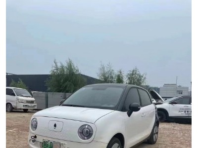 21年欧拉欧拉R1小型车