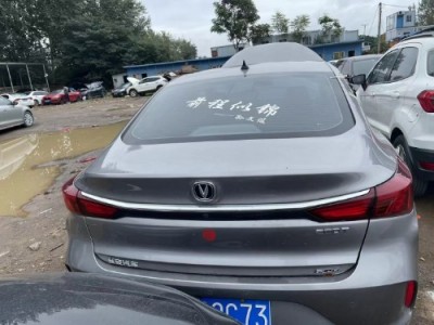 20年长安逸动小型车