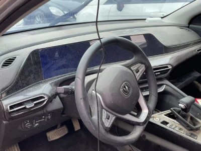 20年长安逸动小型车