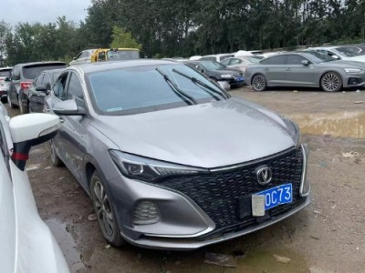 20年长安逸动小型车