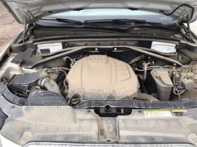 18年奥迪奥迪Q5小型车