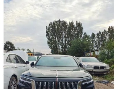 20年红旗红旗H9小型车