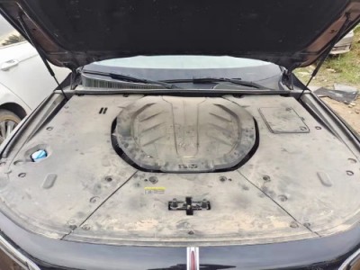20年红旗红旗H9小型车