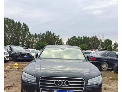 16年奥迪奥迪A8L小型车