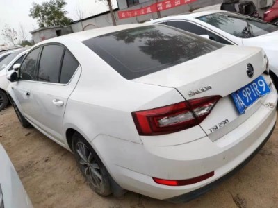19年斯柯达明锐小型车