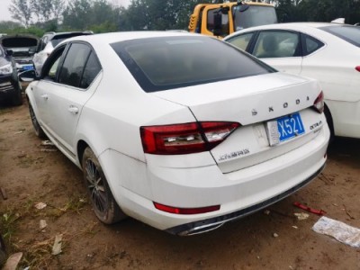 20年斯柯达明锐小型车