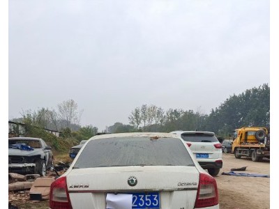 13年斯柯达明锐小型车