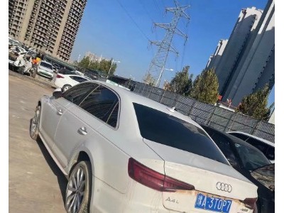 19年奥迪奥迪A4L小型车