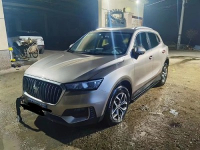 19年宝沃宝沃BX5小型车