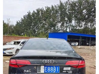 16年奥迪奥迪A8L小型车