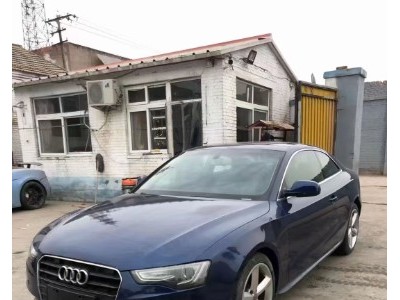 15年奥迪奥迪A5小型车