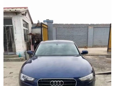 15年奥迪奥迪A5小型车