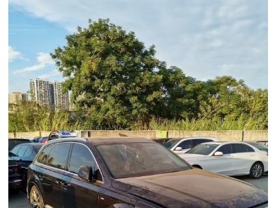 21年奥迪奥迪Q7小型车
