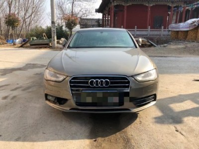 13年奥迪奥迪A4小型车