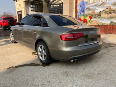 13年奥迪奥迪A4小型车