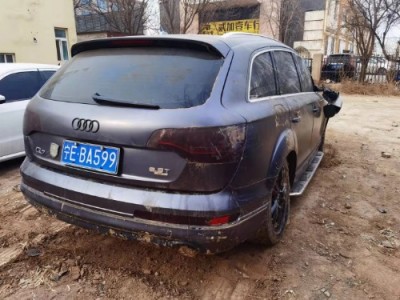 11年奥迪奥迪Q7小型车