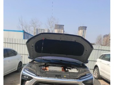 20年蔚来蔚来ES8小型车