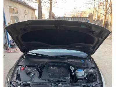 13年奥迪奥迪A6L小型车