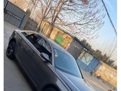 13年奥迪奥迪A6L小型车