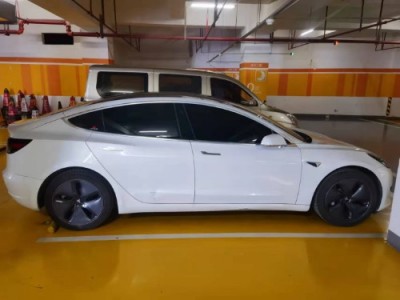 20年特斯拉MODEL 3中型车