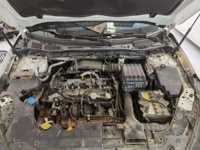 19年红旗红旗H5小型车