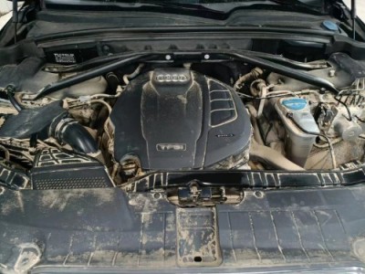 17年奥迪奥迪Q5SUV