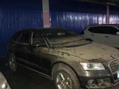 17年奥迪奥迪Q5SUV