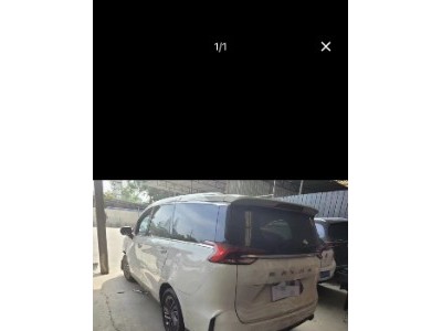 21年上汽大通大通G50MPV