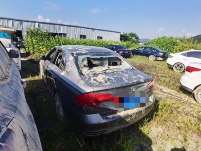 16年大众宝来中型车