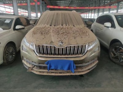 17年斯柯达柯迪亚克小型车