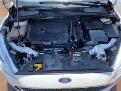 19年福特福克斯中型车