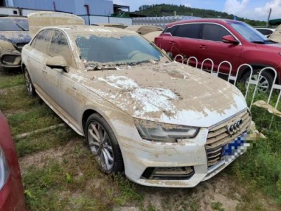 18年奥迪奥迪A4L小型车